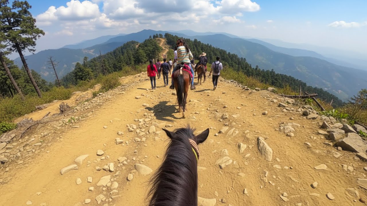 Horse riding in shimla A must try activity