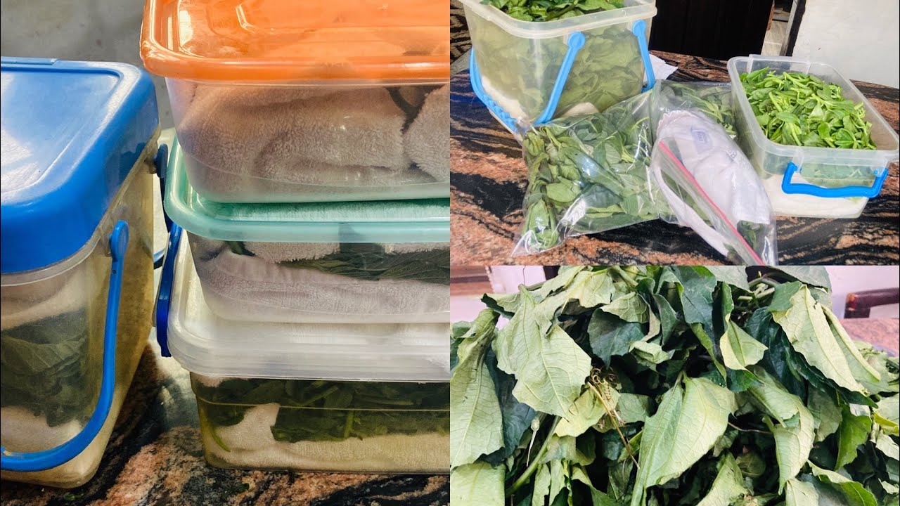 Best way to store or preserve Nigerian leafy vegetables in the fridge a month plus.(ugu, waterleaf)