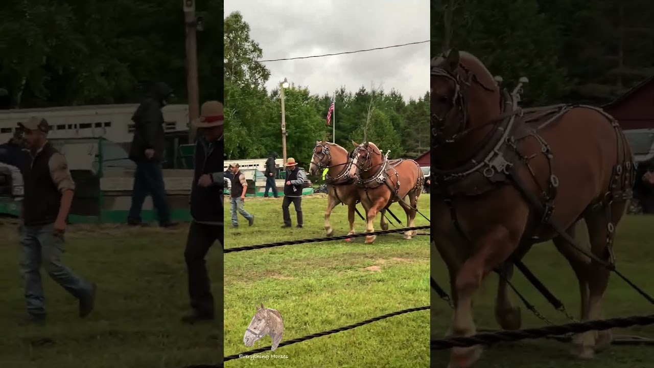 Мы их рассмотрим 