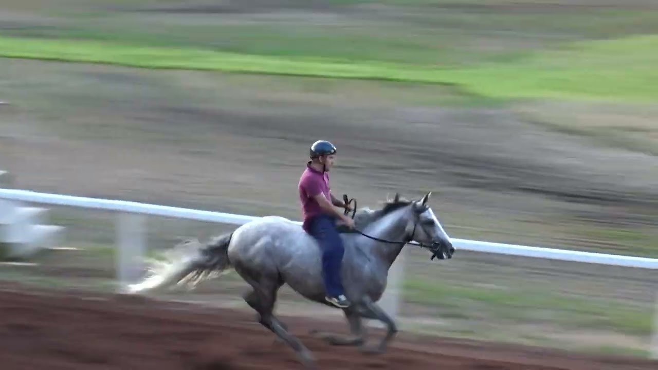 Palio Piancastagnaio 2024 - Prove Libere: Contrada del Coro - Silvano Mulas su Dididomodossola