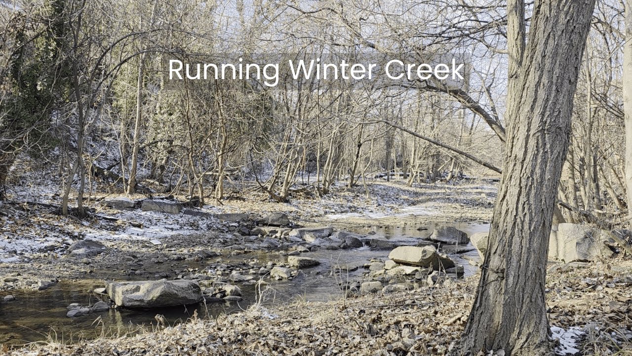 Running Winter Creek in the Woods. Natural Water Sounds