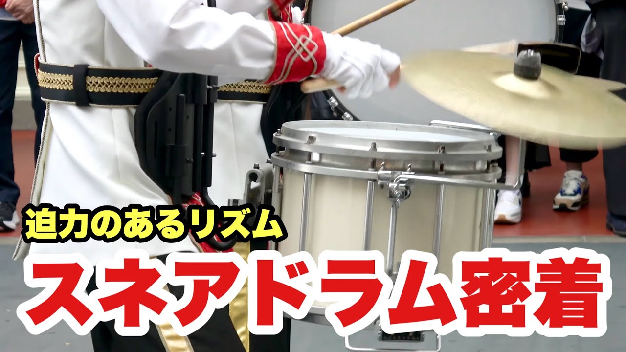 【マニアック】スネアドラム🥁お兄さんに密着した東京ディズニーランドバンドの演奏