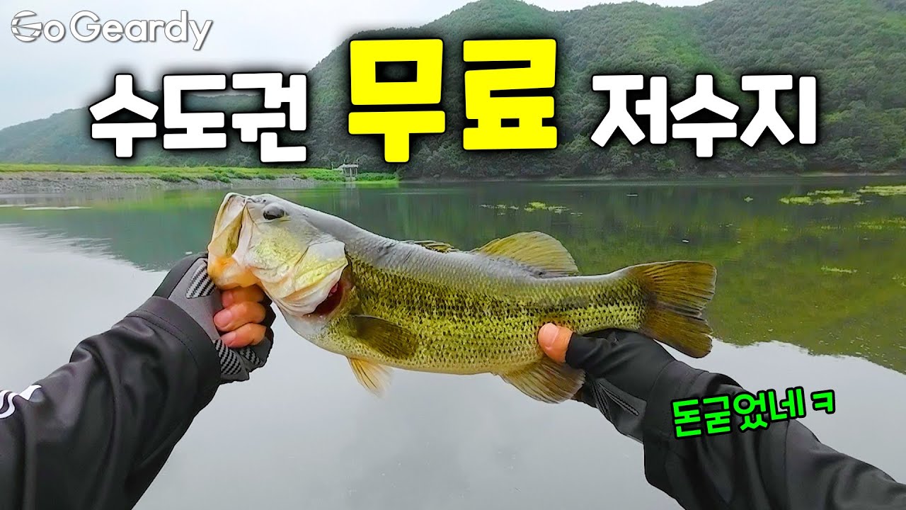 수도권 '무료' 저수지에서 배스를 왕창 낚아보자!