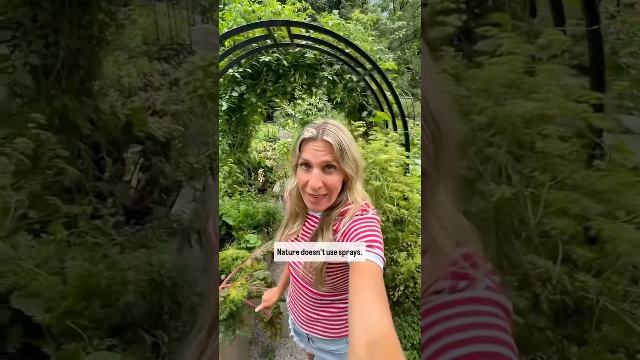 Here&rsquo;s the one trick that lets me garden pest-free without using any pesticides🤫#garden #pests
