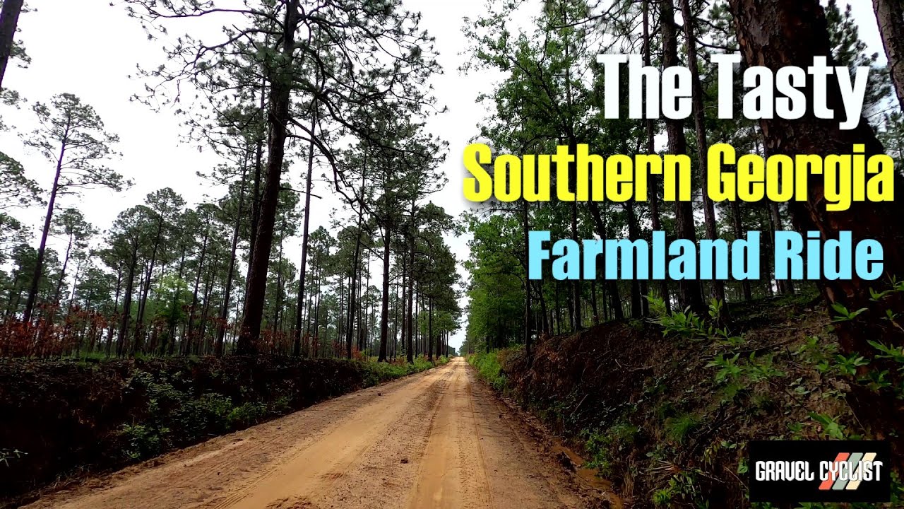 The Tasty Southern Georgia Farmland Ride