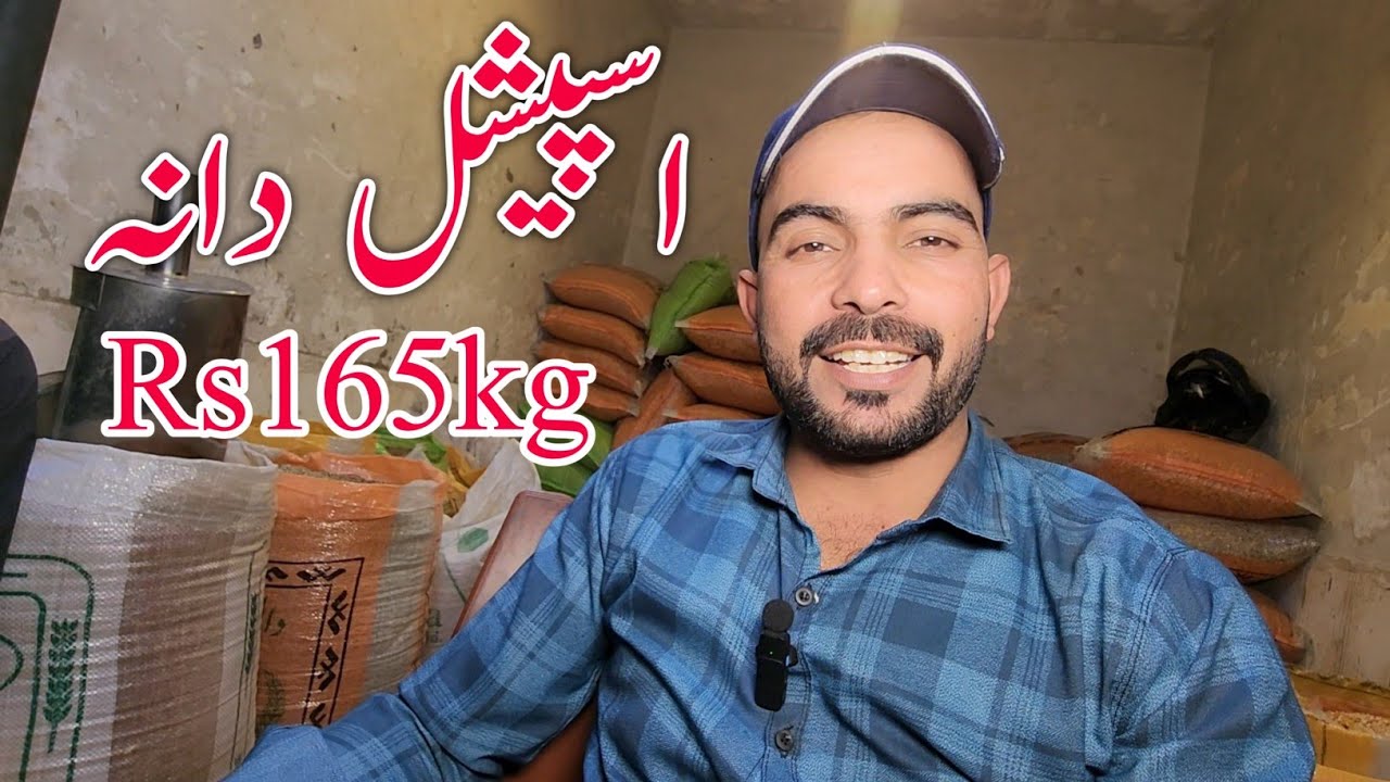 Новое обновление рынка Дана от 03.06.2026 #lahorientertainmentchannel #птицы #домашниеживотные #в...