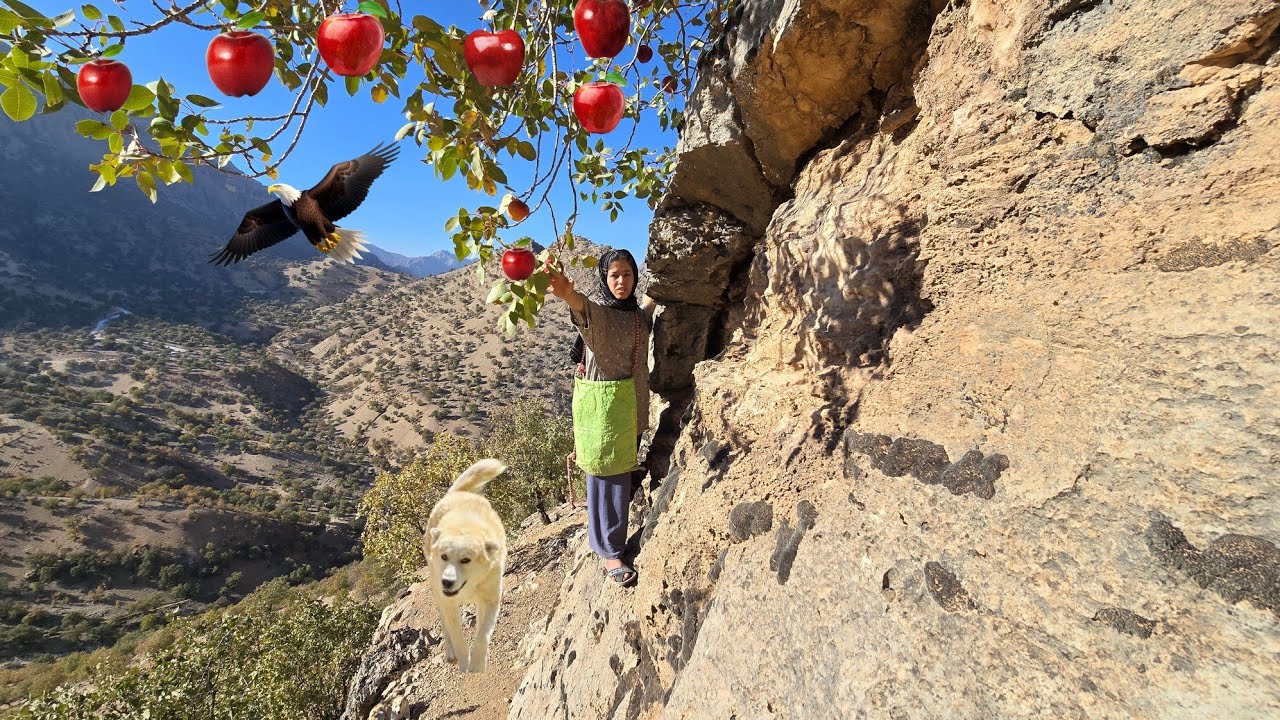 Wild Apple Picking in Iran&rsquo;s Hard-to-Reach Mountain Villages 🍎🇮🇷