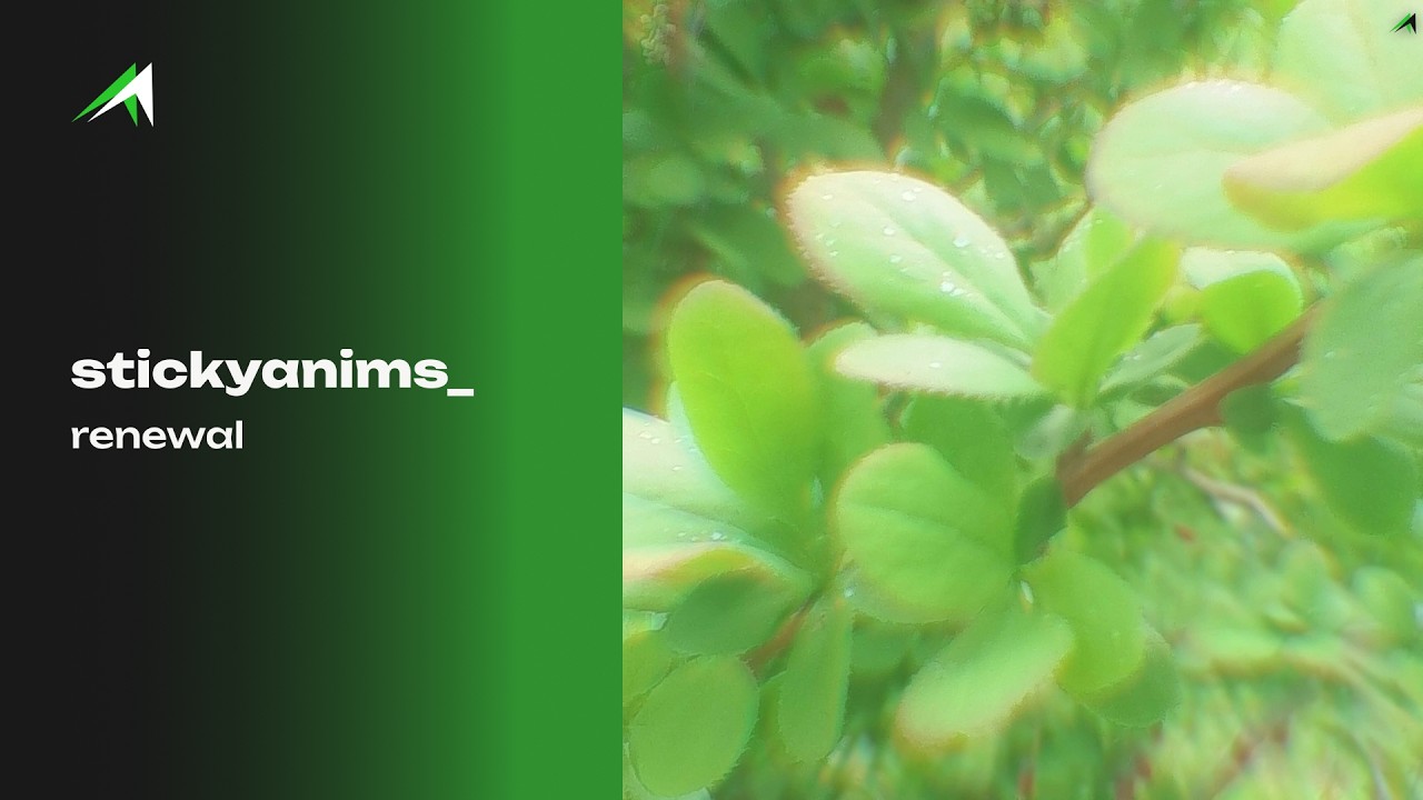 stickyanims_ &ndash; renewal (Official Audio, 2026)