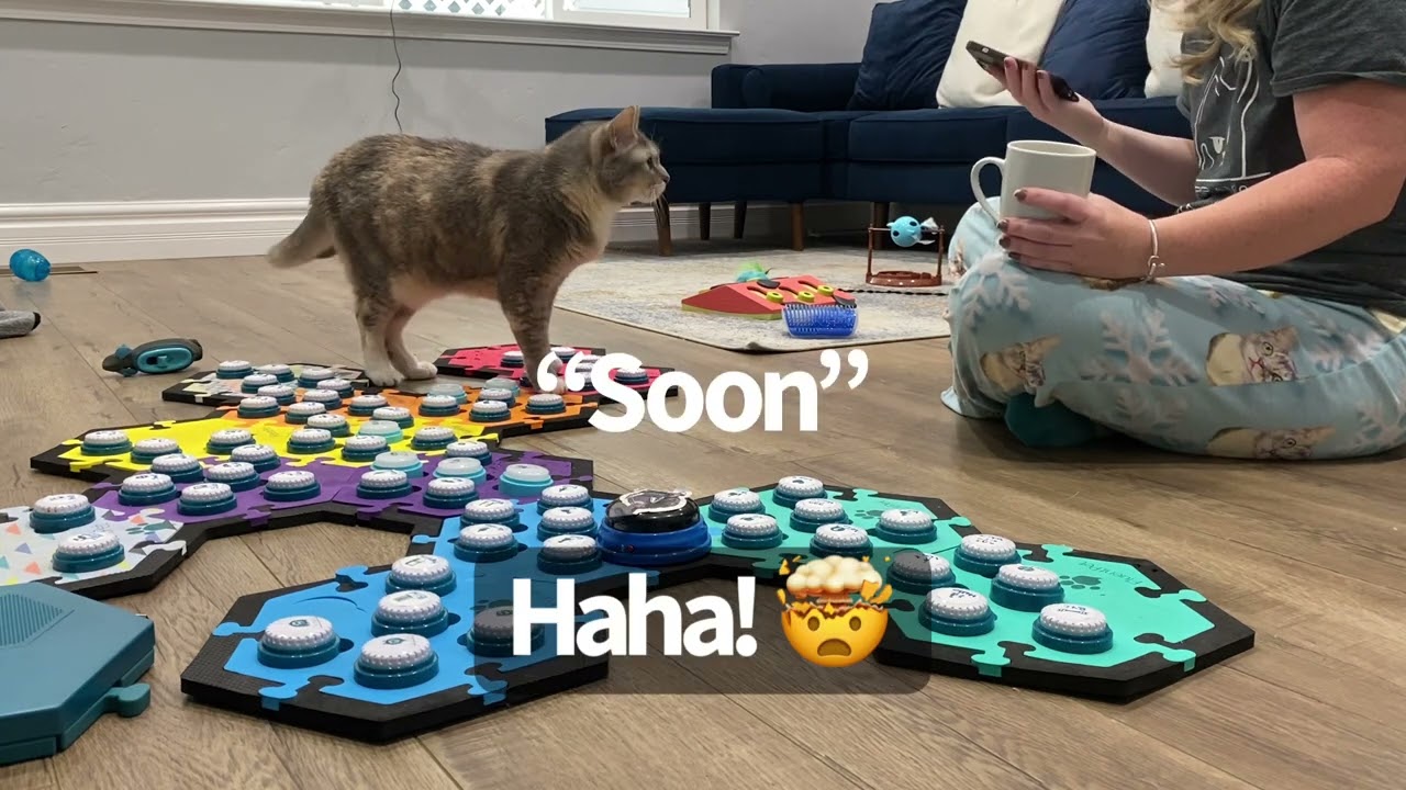 Обратный отсчёт для папы | BilliSpeaks