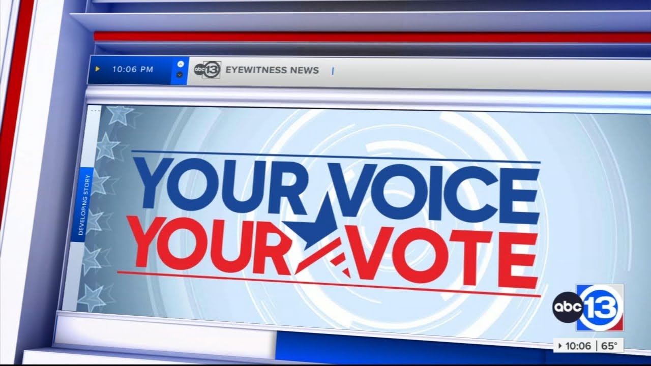 Houston-area voters tell ABC13 what's important to them