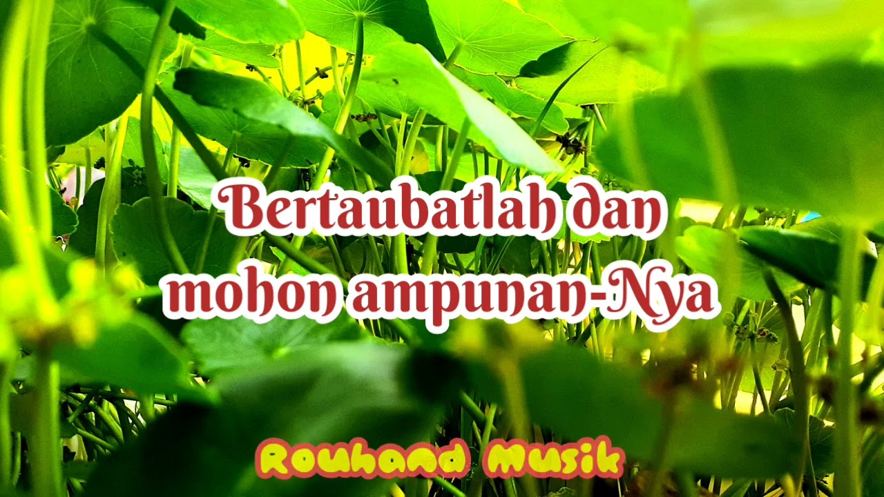 Malam Kehormatan | Religi (Indo Musik)-By Rouhand