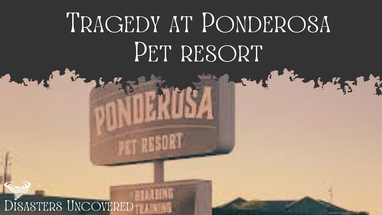 The Ponderosa Pet Resort Fire. A Disasters Uncovered Documentary