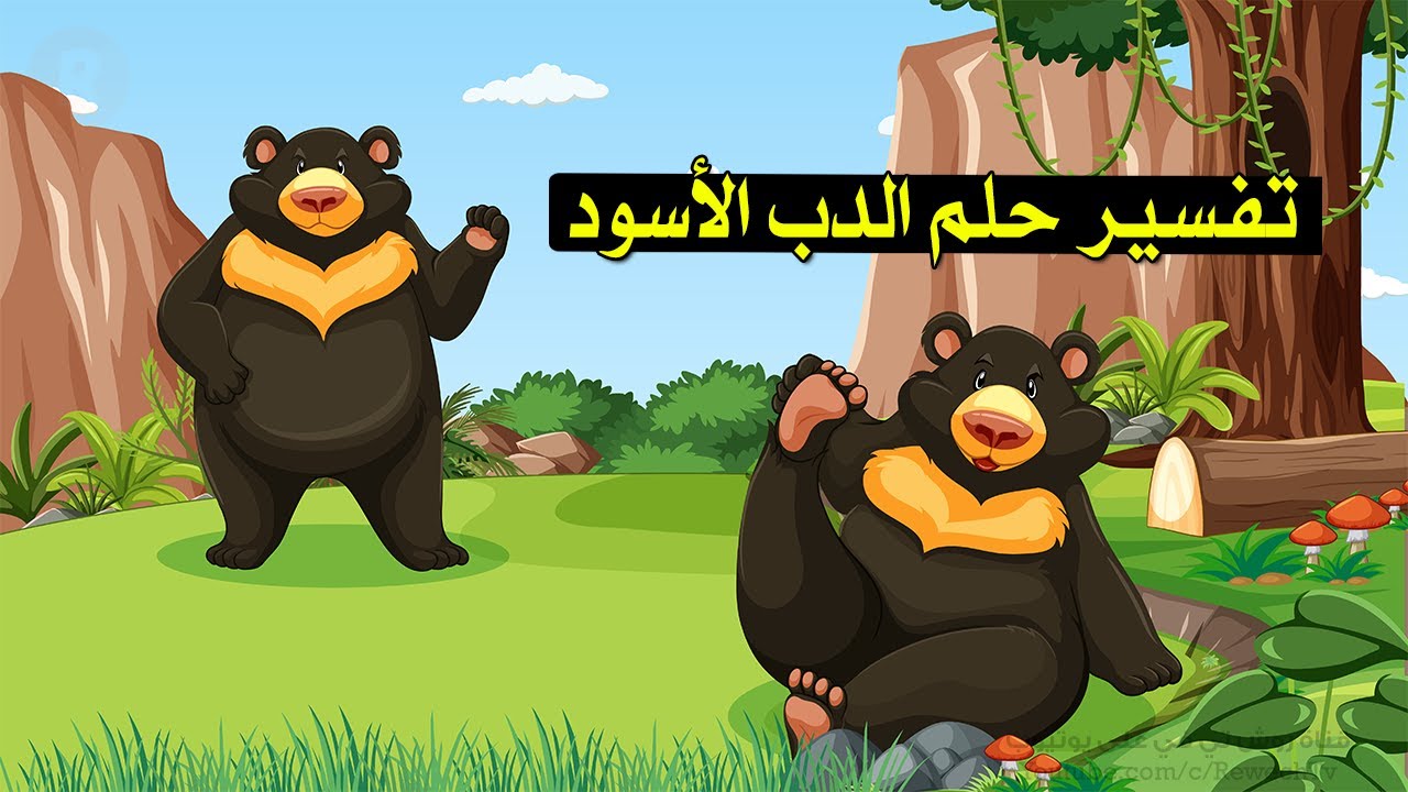 تفسير حلم الدب الأسود - ما معنى رؤية الدب في المنام ؟ سلسلة تفسير الأحلام
