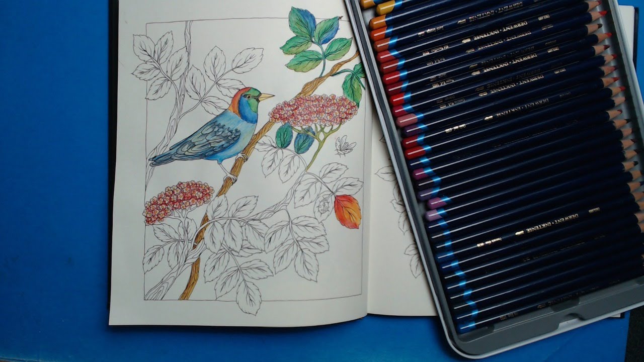 It MUST be a Coloring Sunday - Color & Chat with CLAldridgeArt in Flora/Inktense (Pt 2)