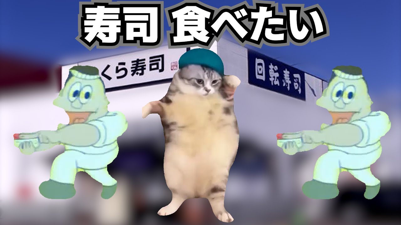 くら寿司で食事しただけの何気ない話【猫ミーム】
