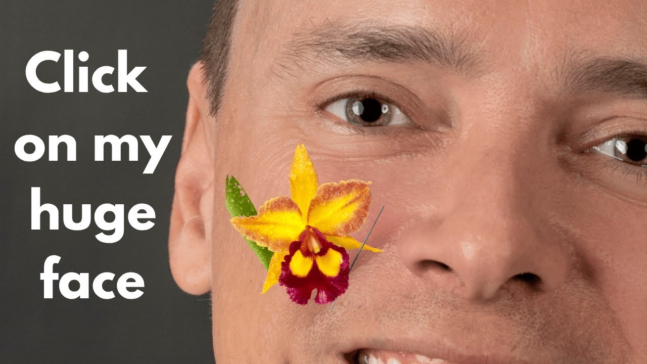 Orchid Dude Busts 7 Orchid Myths (Mega Super Hacks)