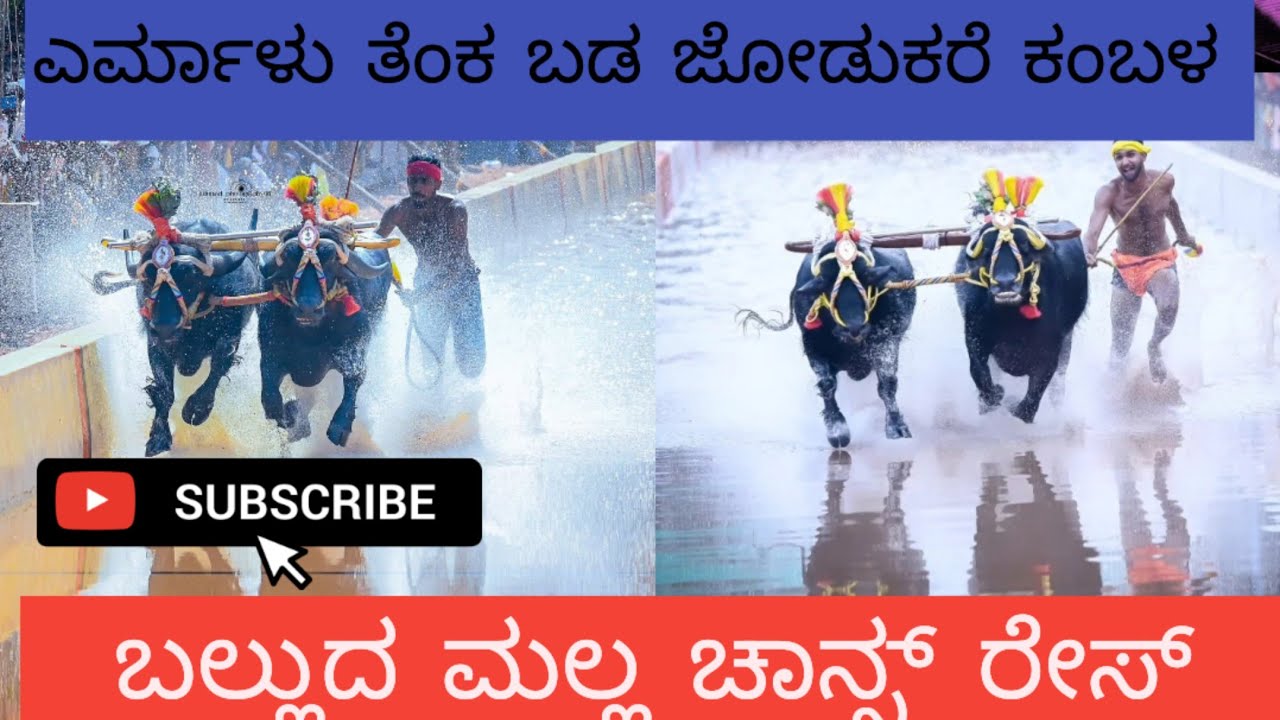ಬಲ್ಲುದ ಮಲ್ಲ ಚಾನ್ಸ್ ರೇಸ್  ಎರ್ಮಾಳು ತೆಂಕ ಬಡ ಜೋಡುಕರೆ ಕಂಬಳ 2026