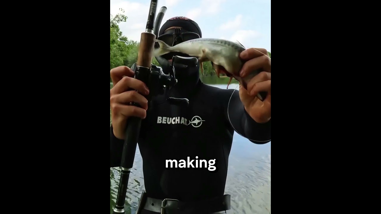 How Does This Motorized Fishing Lure Attract Big Fish?