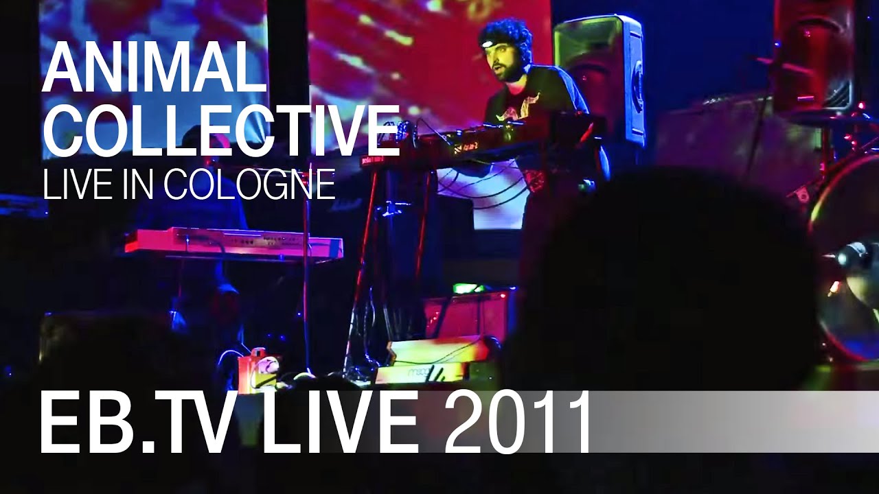 Animal Collective live in Cologne (2011)