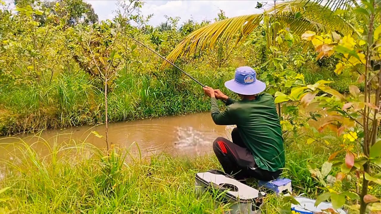 Trúng mánh con mương vườn mai rồi cá nhiều thật