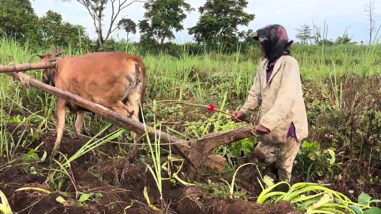 PAKKOS DI TEGAL NGIJO MALANG 