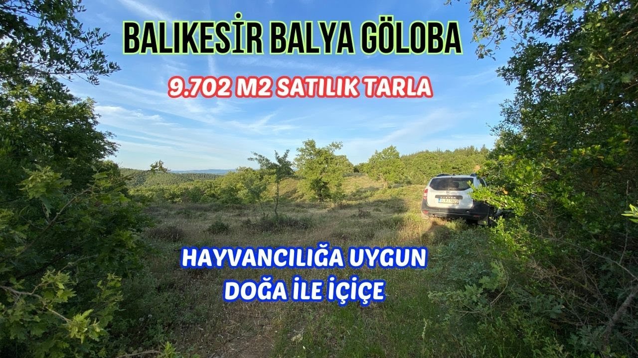 BALIKESİR BALYA GÖLOBA 9.702 M2 SATILIK TARLA HAYVANCILIĞA UYGUN Fiyatı 1.350.000 TL