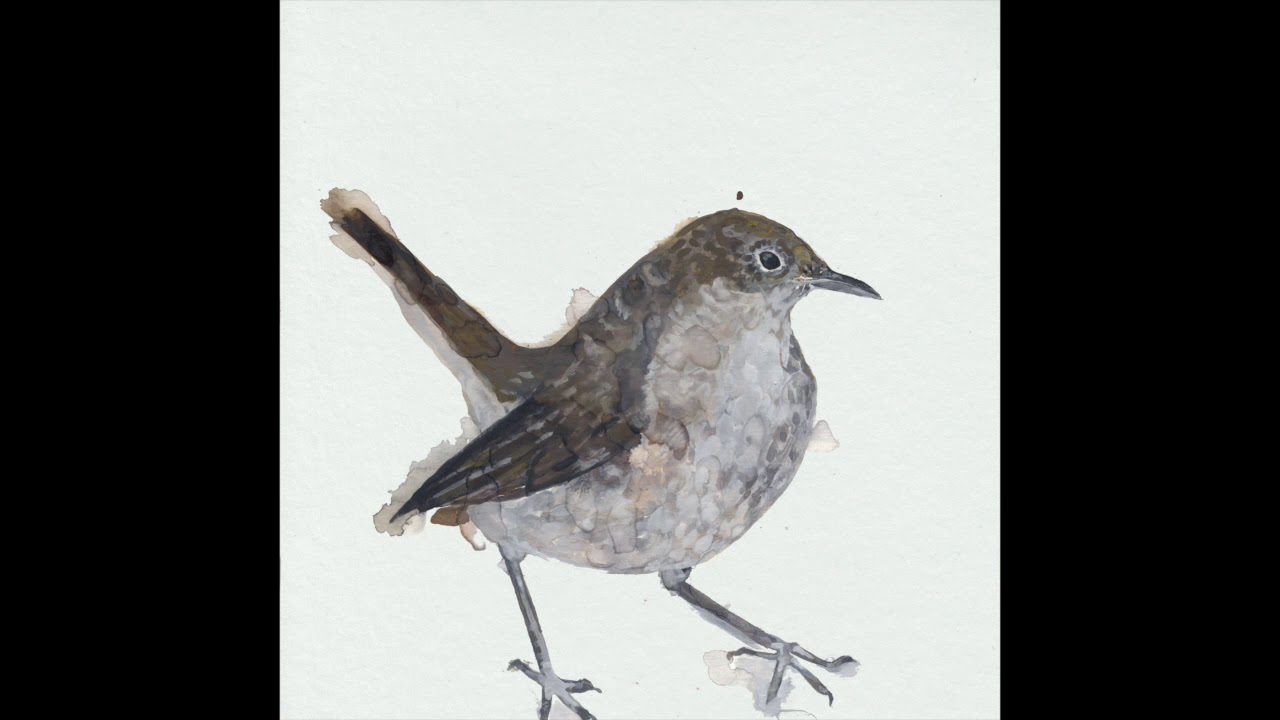 Cosmo Sheldrake - Nightingale Part 1