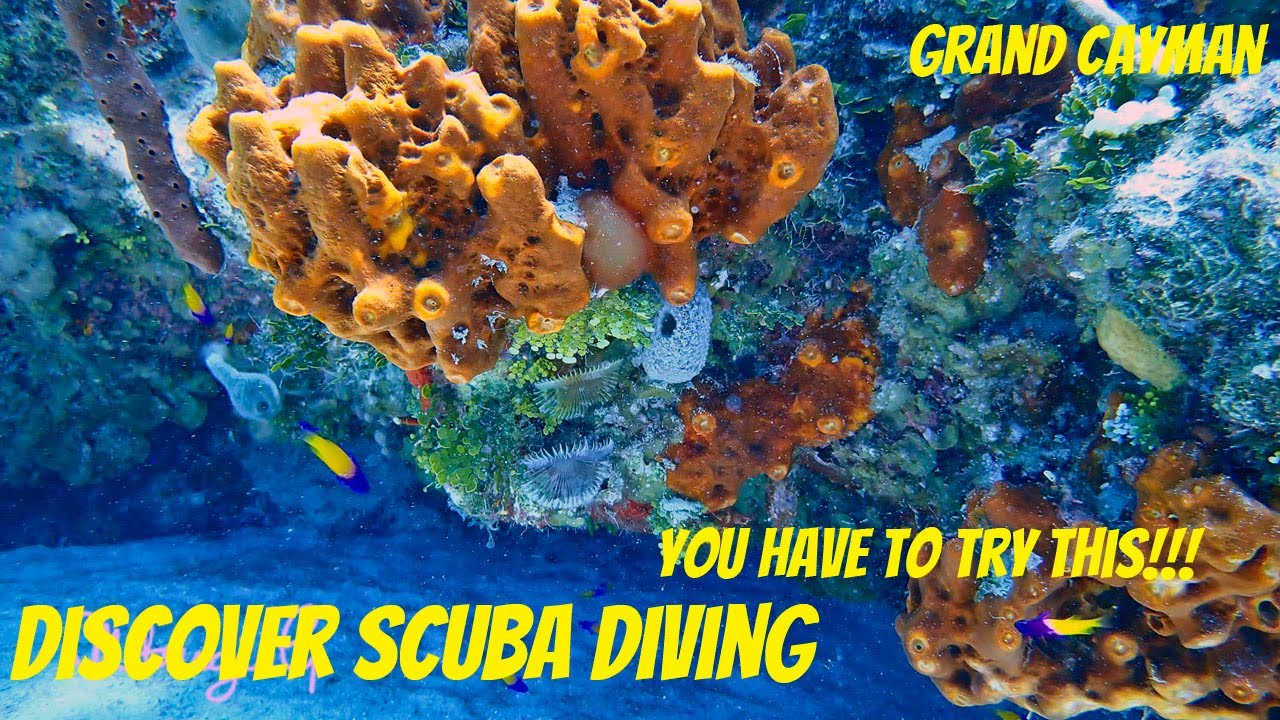 Eden Rock:Discover Scuba Diving Grand Cayman