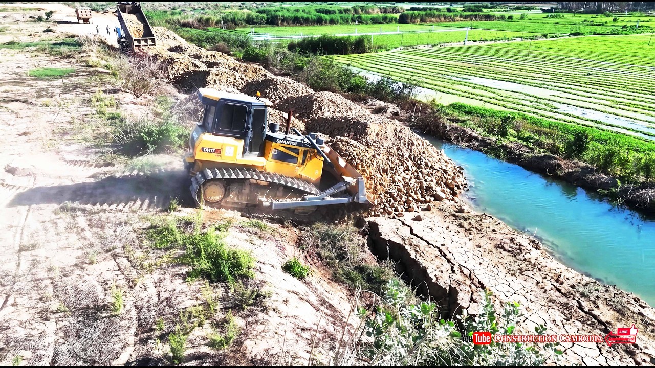 Amazingly! Heavy Equipment Shantui Bulldozer Clearing Land Fast and Dump Trucks Landfilling Lowlands