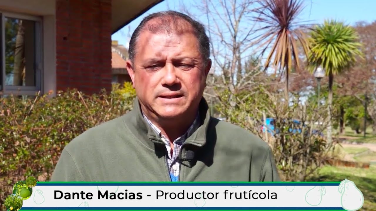 Jornada propuestas tecnológicas para pera - Testimonio de productores