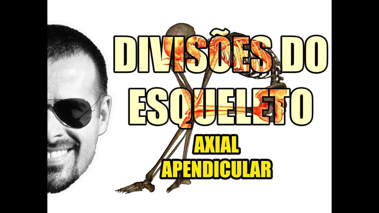 Sistema Esquel&eacute;tico/&Oacute;sseo - Divis&otilde;es do Esqueleto: Esqueleto Axial e Apendicular - VideoAula 049