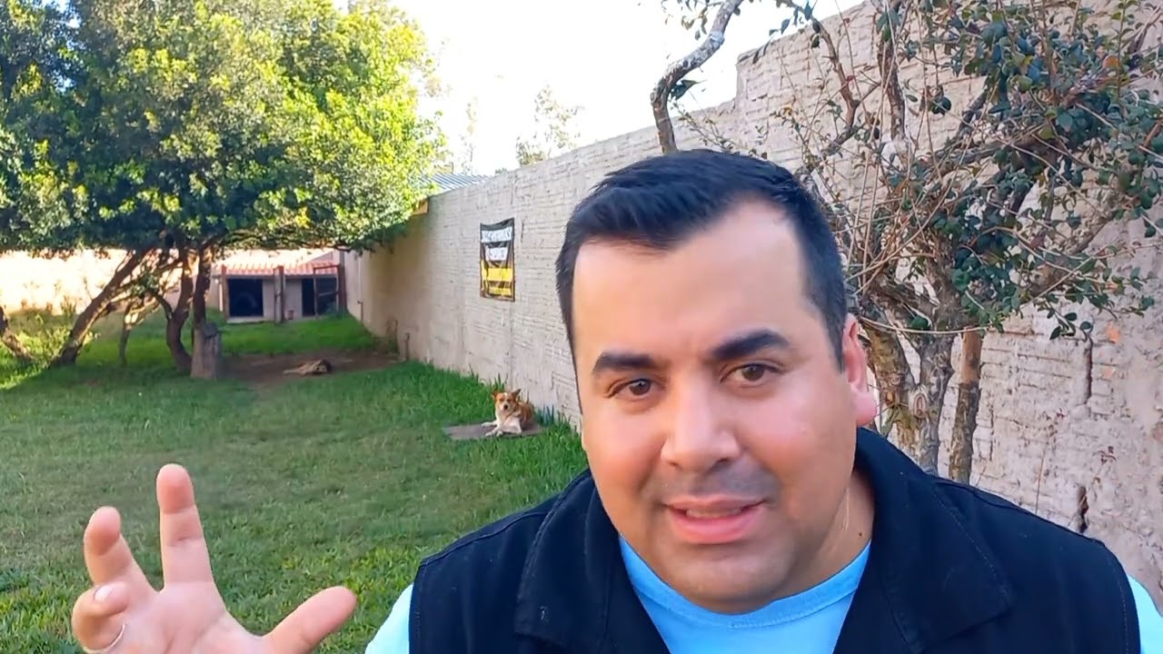 Manejo de matilhas - Um pouco do nosso dia com os cães.