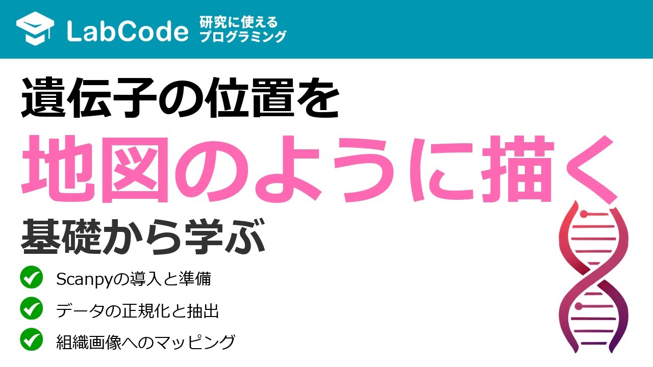【ダイナミクス解析#7】【Python】Scanpyで空間トランスクリプトーム解析！基礎から可視化まで徹底解説【第3章】