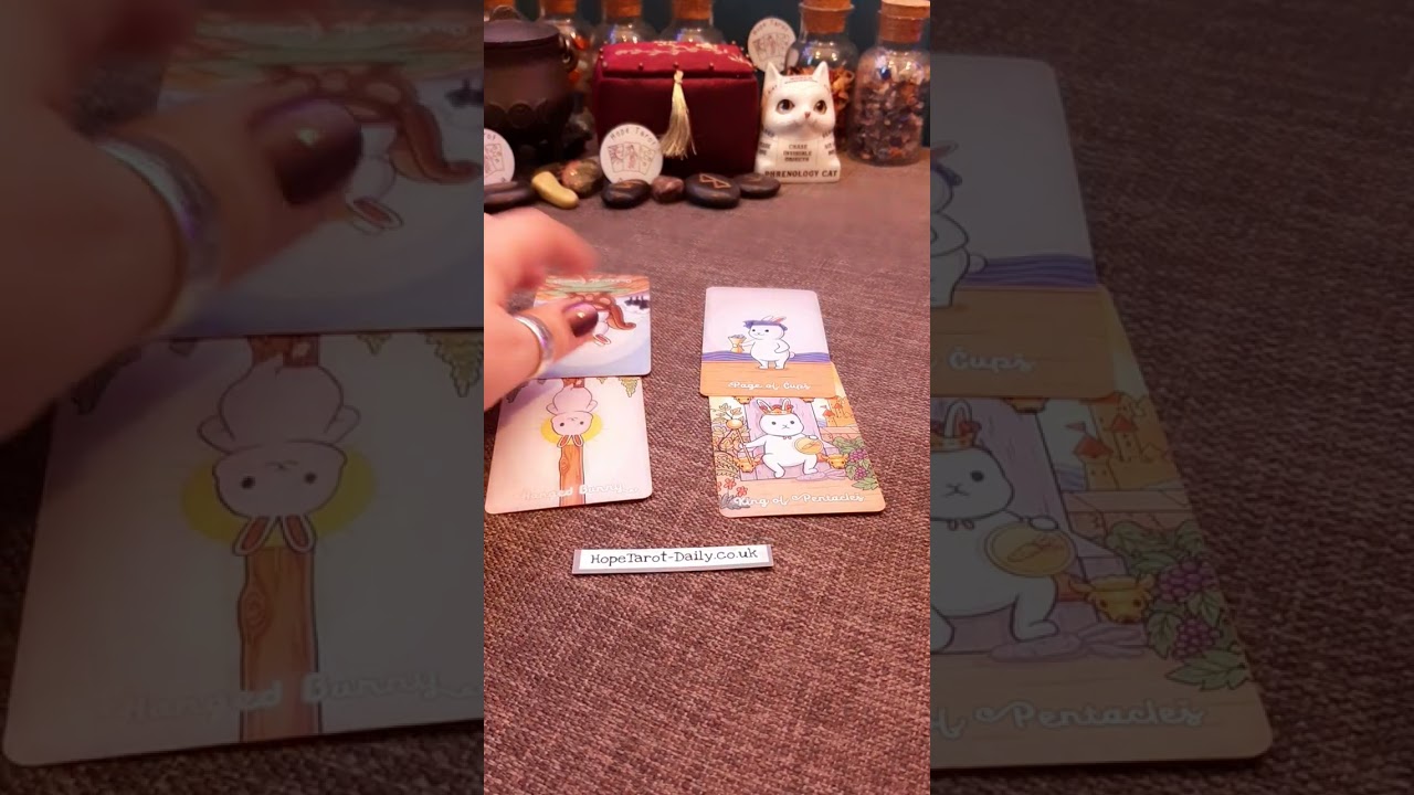 Will he choose her or me? 3rd party situation | Timeless Tarot Card Reading | Hope Tarot Daily