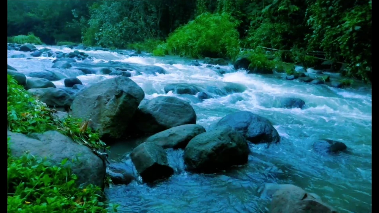 Serene River Ambience ASMR Nature Sounds White Noise for Deep Relaxation