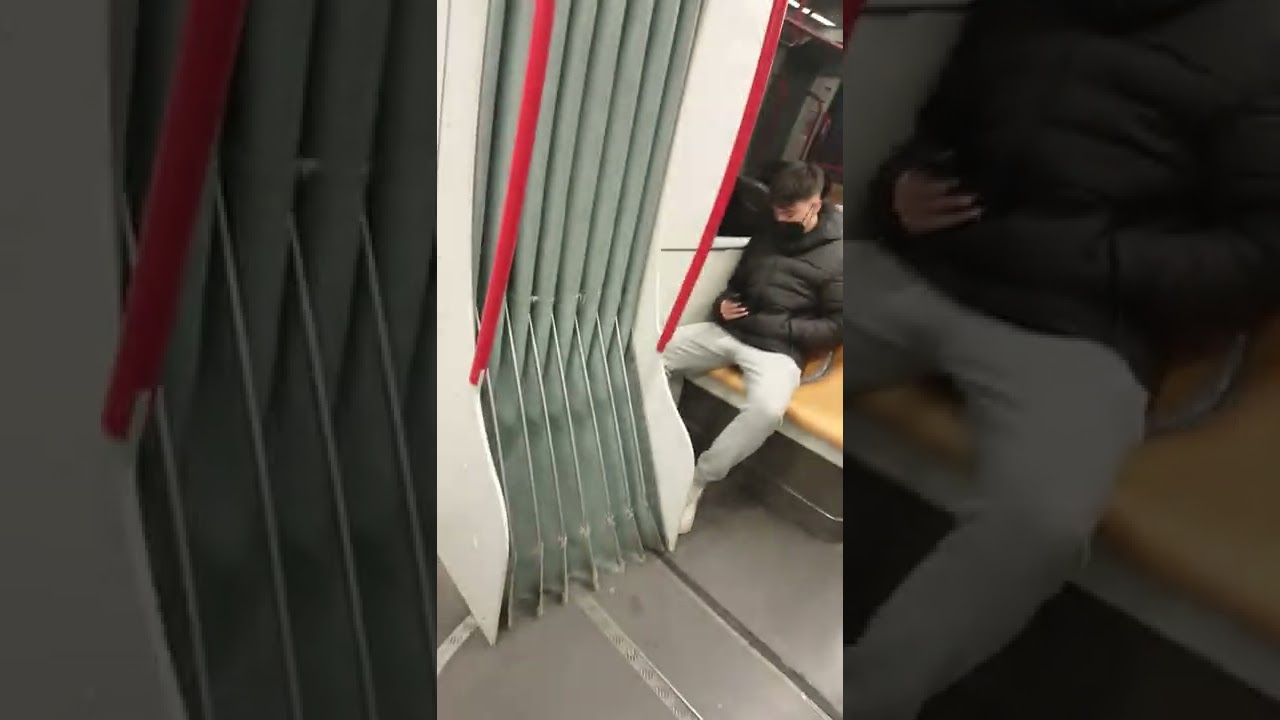 tranvía linea L1 de zaragoza
