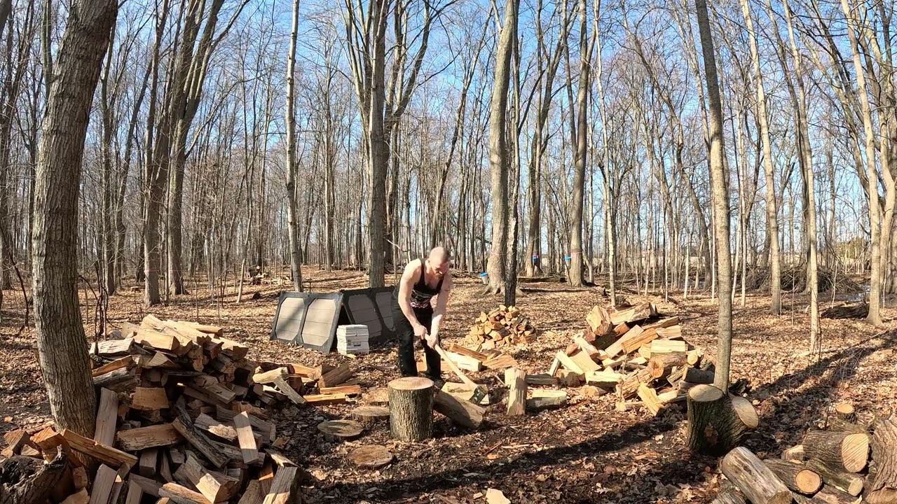 Daily Firewood: Day 41