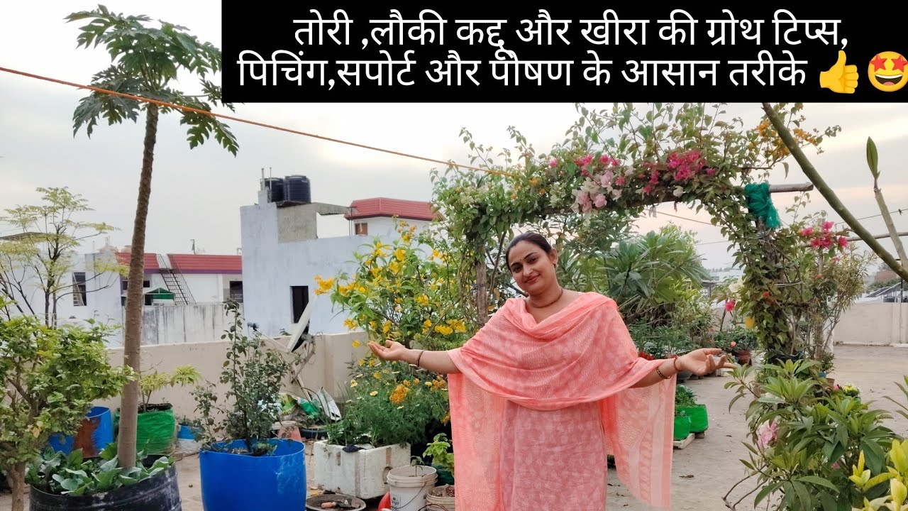 Советы по выращиванию кабачков, тыквы и огурцов: простые методы посадки, опоры и питания 👍🤩 #садо...