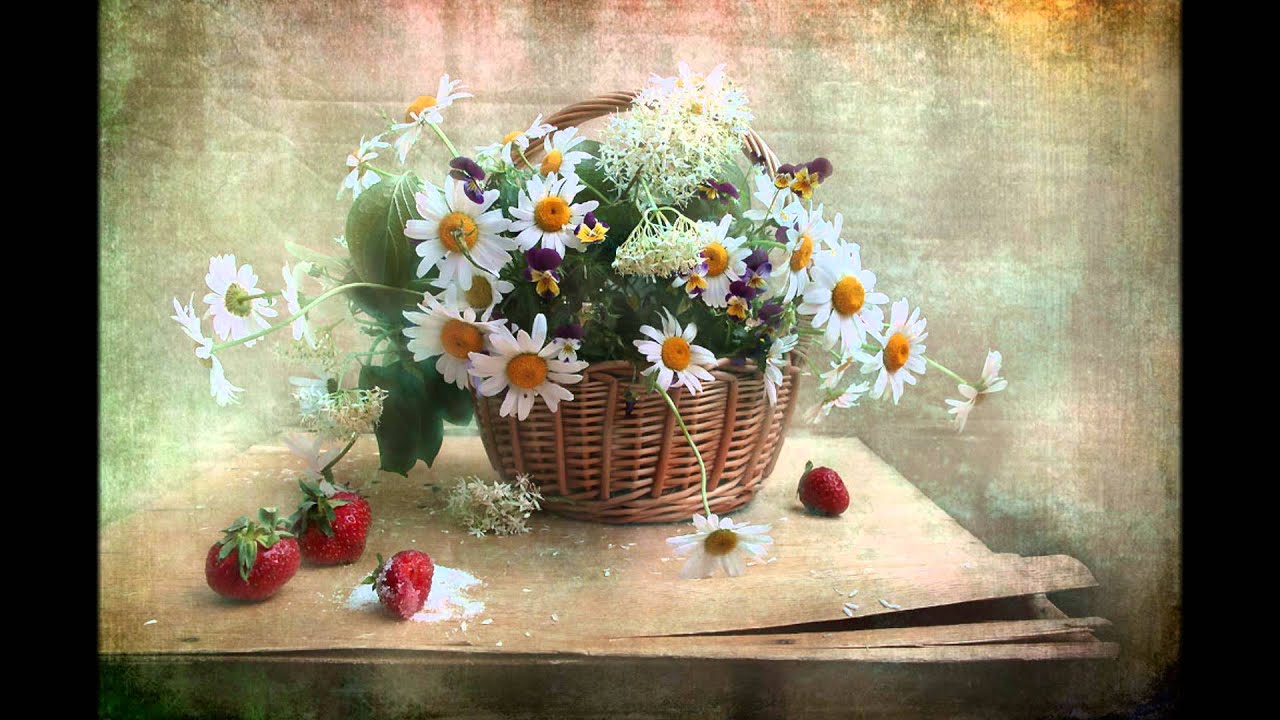 Фотонатюрморты Svetlana Ра