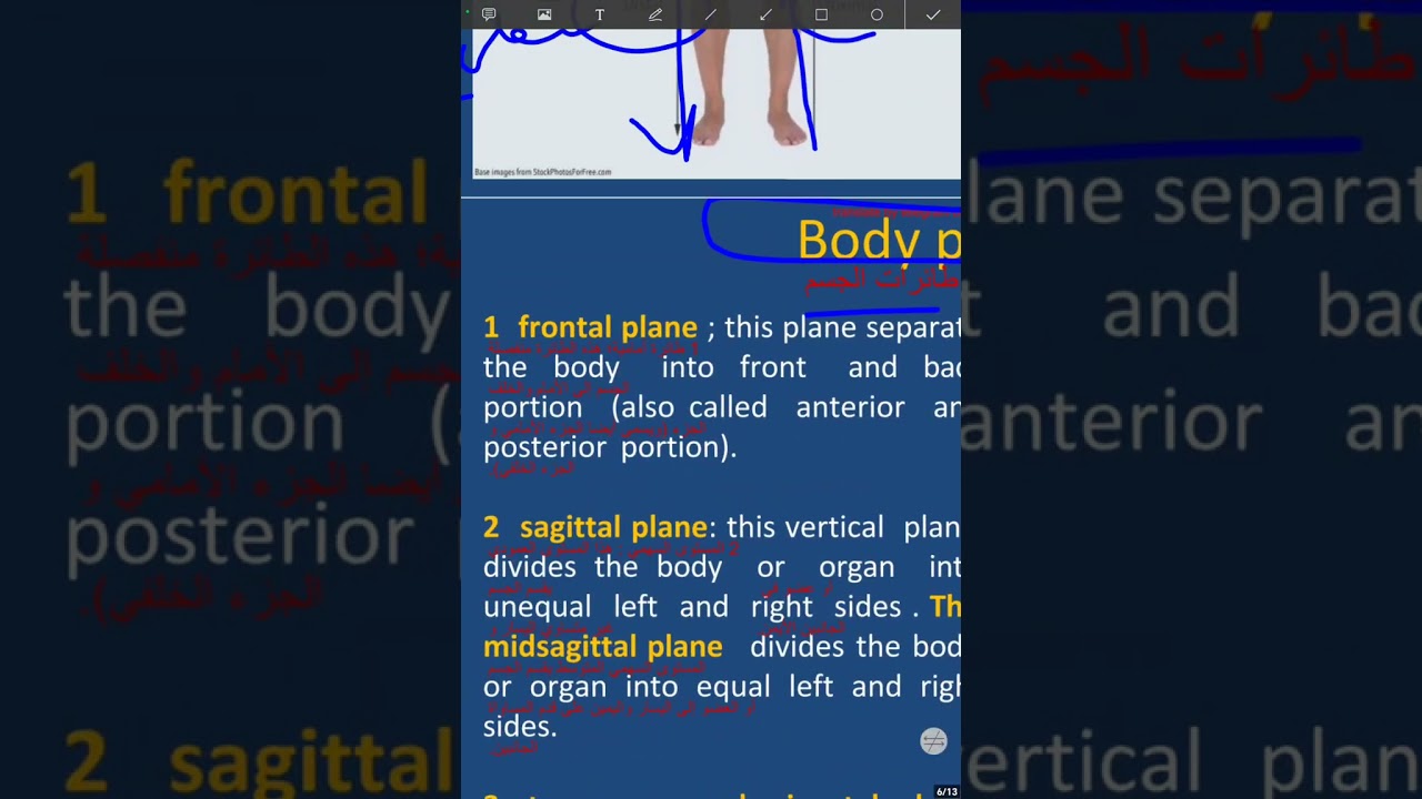 مصطلحات محاضرة 3🌿#كرة_القدم #1000subscriber #حالات_واتس #جديد #10000mahpowerbank #trending #مشاهيردب