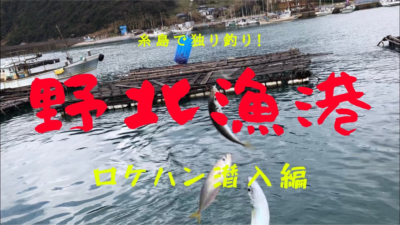 006【糸島  1月の野北漁港で独り釣り！】噂の人気スポットにロケハン潜入釣り！fukuoka japan fishing club in nokita fishing port