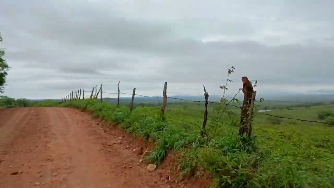 ESSA PAISAGEM TÁ SÓ O OURO INDO LÁ PRA MANGABEIRA CHOVEU MUITO NA MADRUGADA 