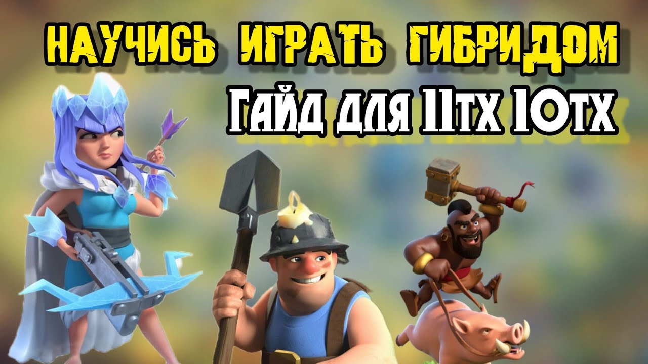 Гибрид на 11 тх и 10 тх. ОБУЧЕНИЕ