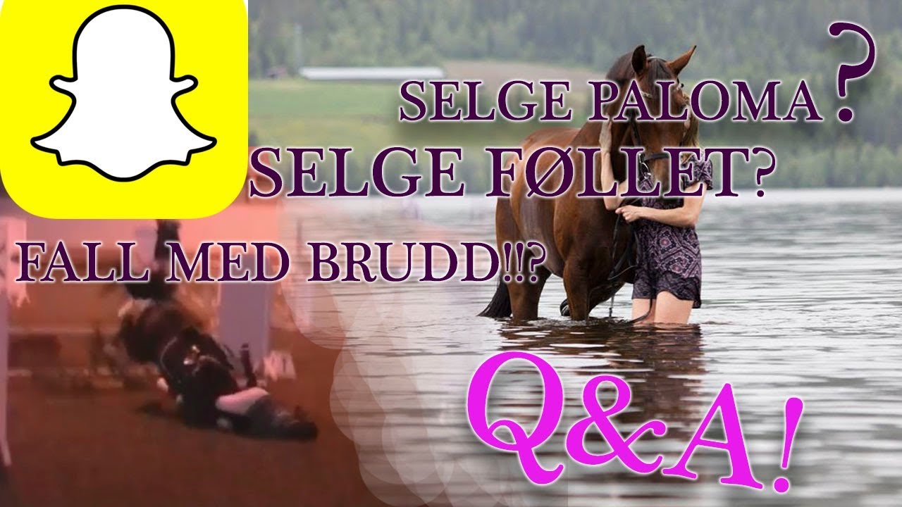 FALL MED HEST OG BRUKKET KRAGEBEIN! - Q&A