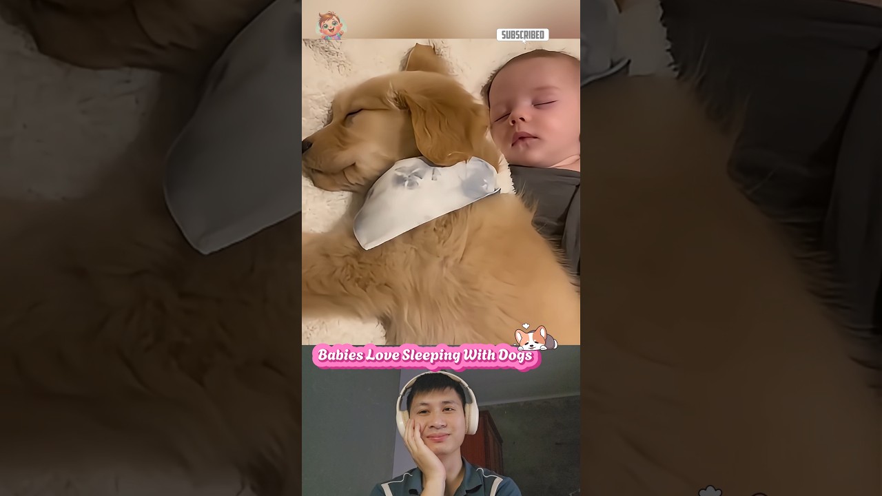 Babies love sleeping with dogs P.2 |#66| #funny #baby #dog #love #shorts #sleep