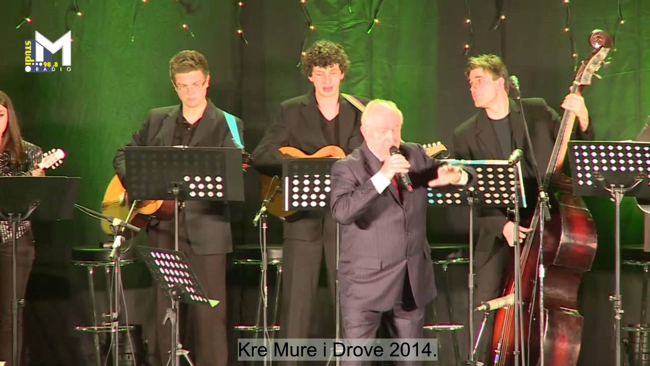 Božidar Brajković uz TS Frikovi - Međimurski čardaš (festival Kre Mure i Drove, Prelog 2014)