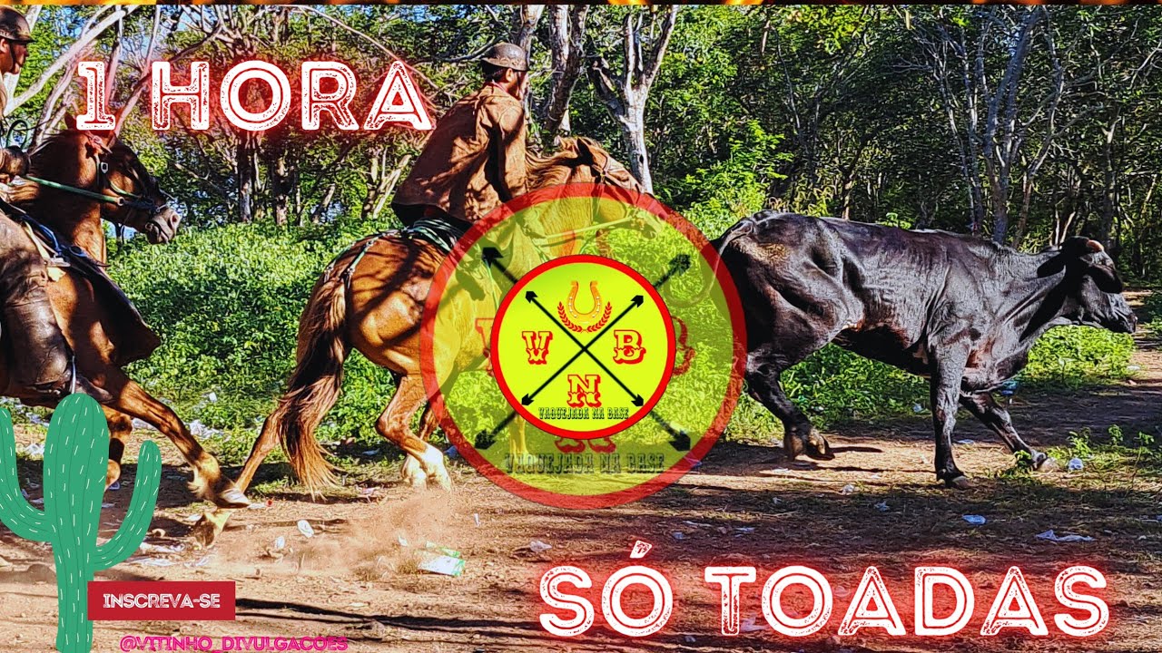 AS MELHORES TOADAS DE VAQUEJADA • ATUALIZADO 2023 🌵🎵🙏
