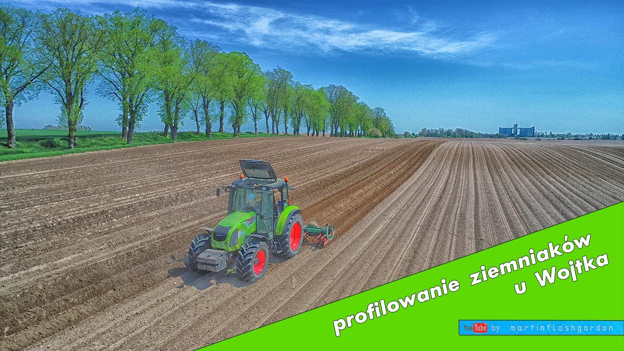 profilowanie ziemniaków u Wojtka 2021