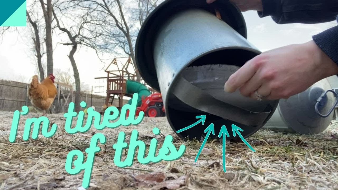 How to keep your chicken's water from FREEZING in the winter