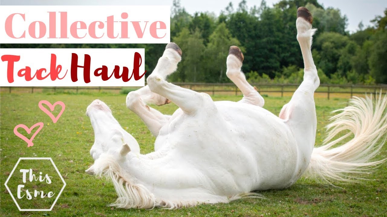 Collective TACK HAUL | Hickstead, Dublin, Burghley | This Esme